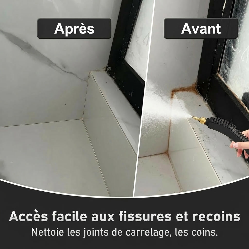 Nettoyeur Vapeur Haute Pression