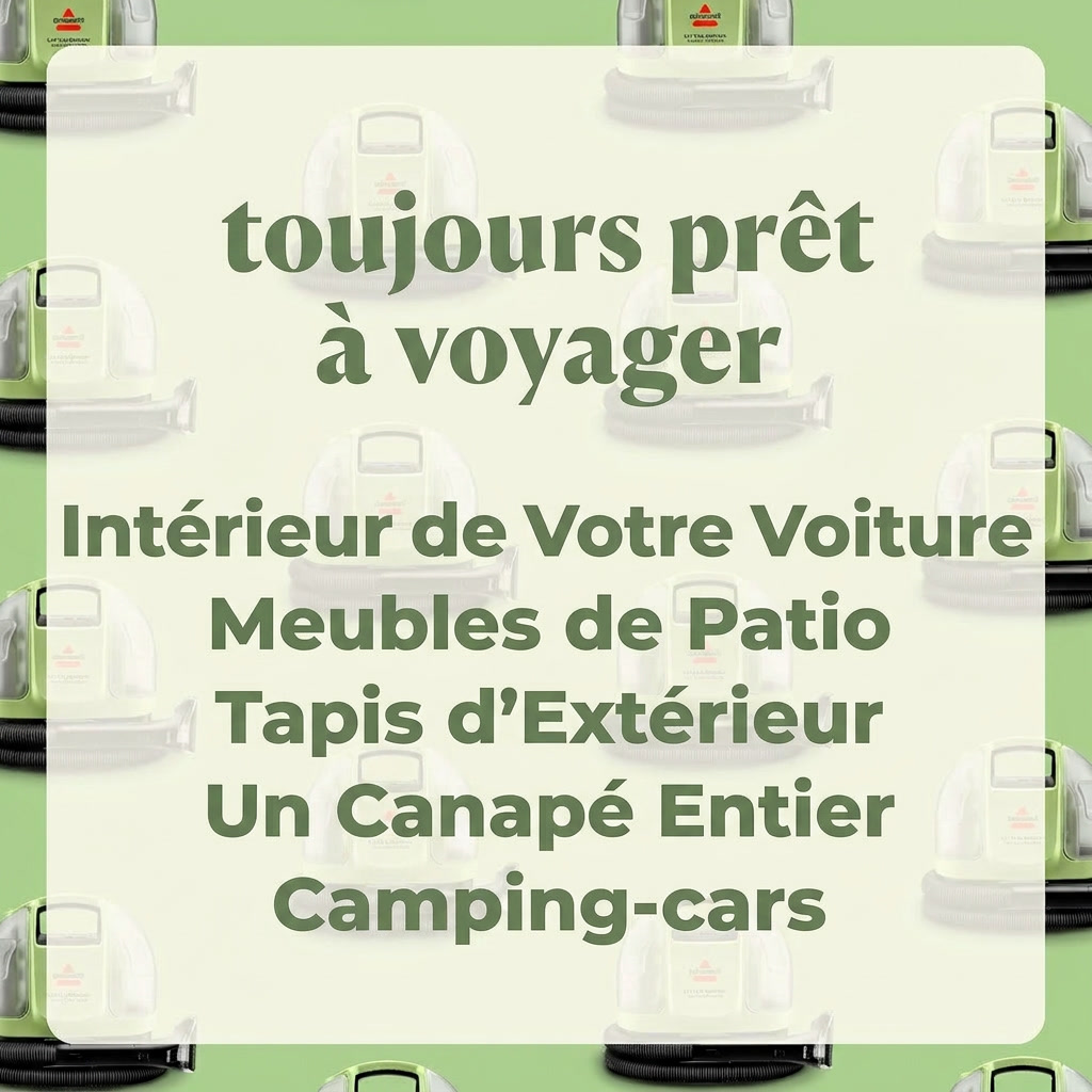 Nettoyeur de tapis et tissus portable sans fil